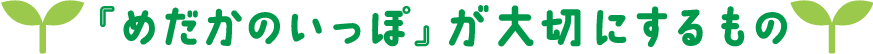 『めだかのいっぽ』が大切にするもの